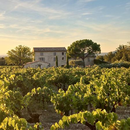 Le Cottage Du Chat Blanc Saint Didier (Vaucluse) Exterior foto