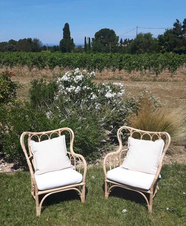 Le Cottage Du Chat Blanc Saint Didier (Vaucluse) Exterior foto