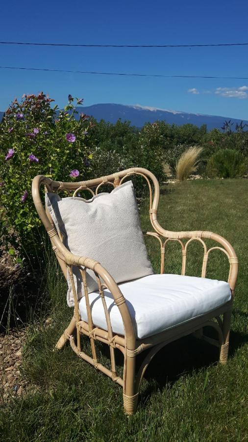 Le Cottage Du Chat Blanc Saint Didier (Vaucluse) Exterior foto