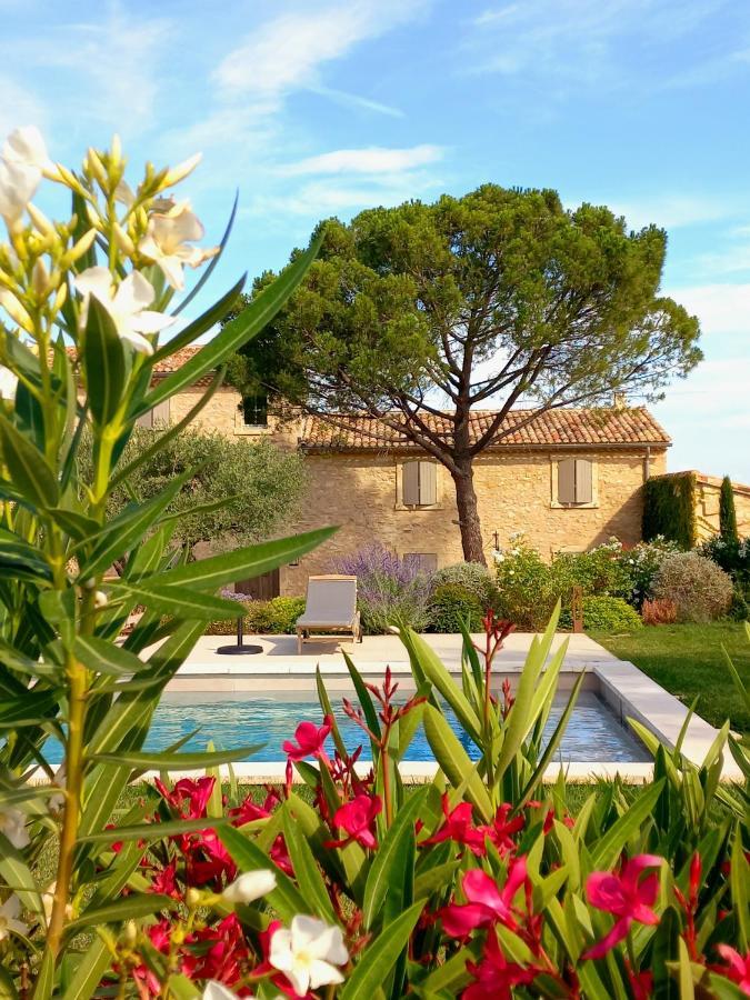 Le Cottage Du Chat Blanc Saint Didier (Vaucluse) Exterior foto